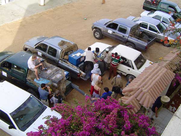 photo04.jpg